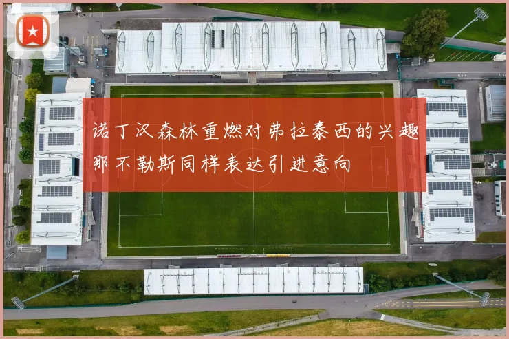 诺丁汉森林重燃对弗拉泰西的兴趣那不勒斯同样表达引进意向