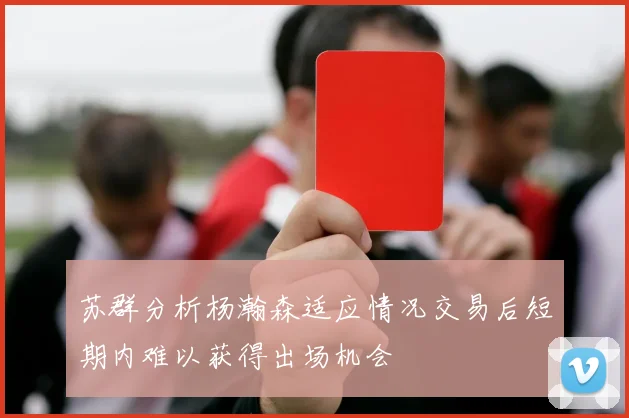 苏群分析杨瀚森适应情况交易后短期内难以获得出场机会