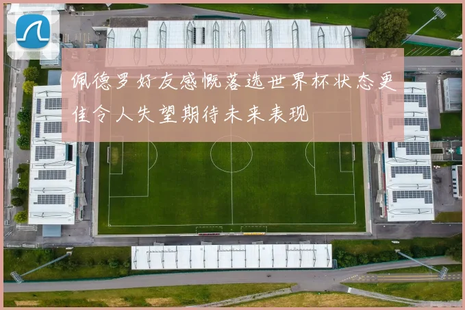 佩德罗好友感慨落选世界杯状态更佳令人失望期待未来表现