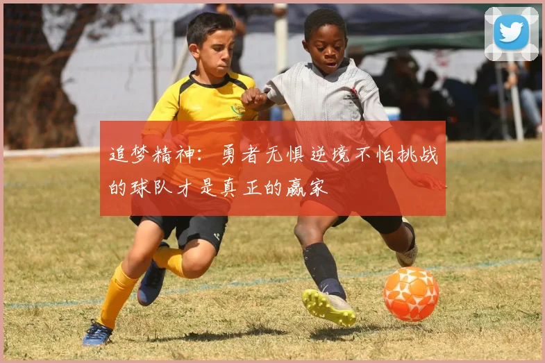追梦精神：勇者无惧逆境不怕挑战的球队才是真正的赢家