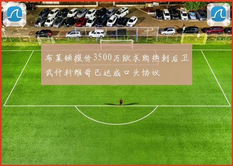 布莱顿报价3500万欧求购热刺后卫武什科维奇已达成口头协议